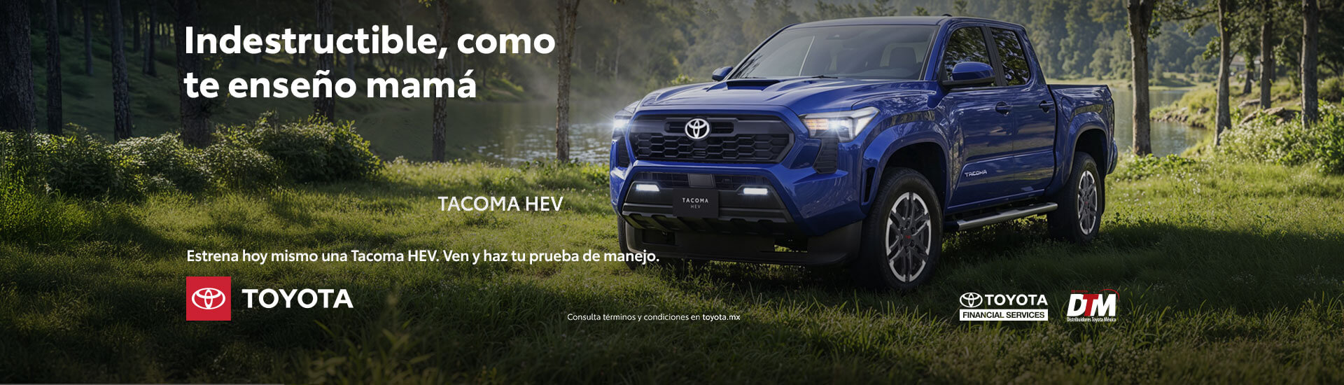 promocion